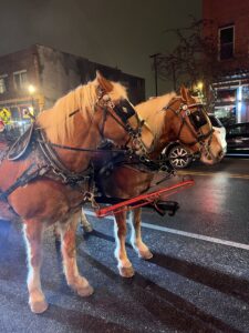 Two large horses stand harnessed to a wagon for an evening carriage ride through downtown Delaware.